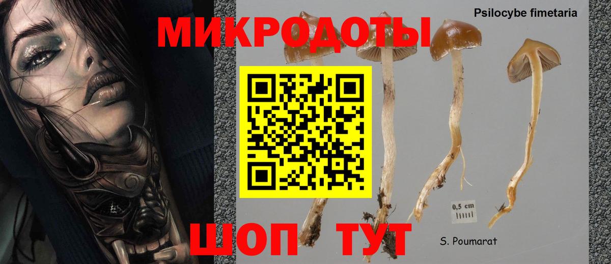 Псилоцибиновые грибы мицелий  Галлюциногенные грибы Psilocybe  Рубцовск  Вход с VPN 